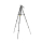 National Geographic NG NGPT001 mały - 1258699 - zdjęcie 4